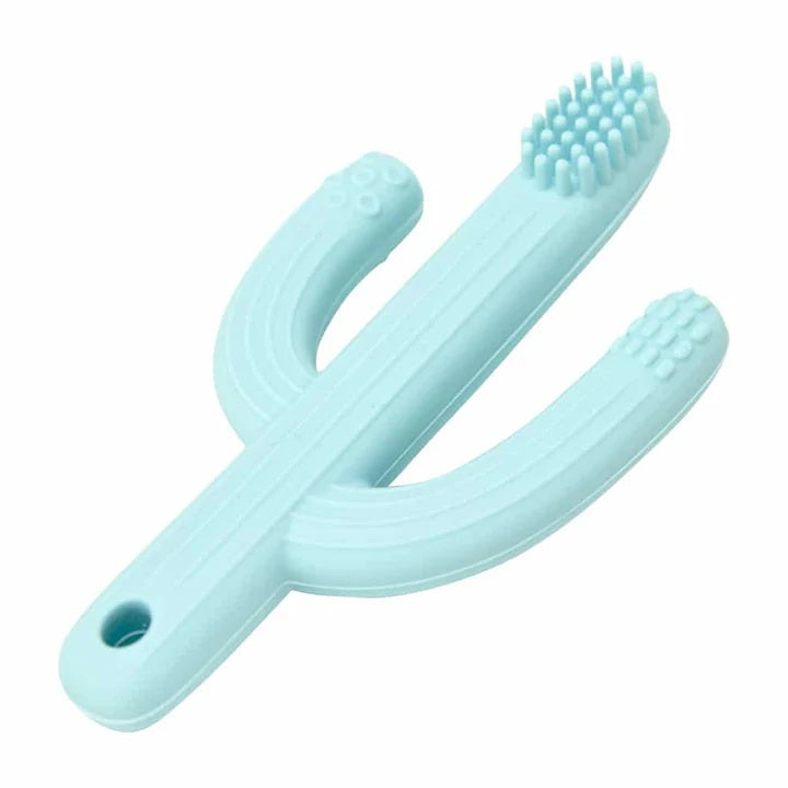 Silicone Teether - Cactus Assorted Colours