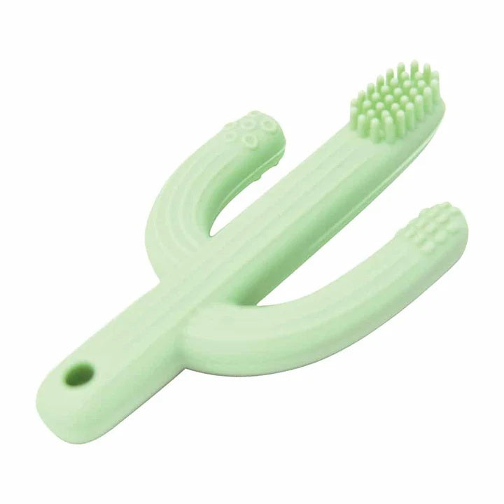 Silicone Teether - Cactus Assorted Colours