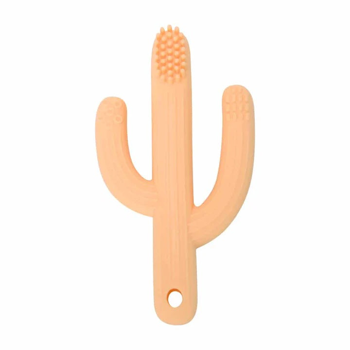 Silicone Teether - Cactus Assorted Colours