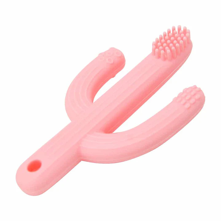 Silicone Teether - Cactus Assorted Colours