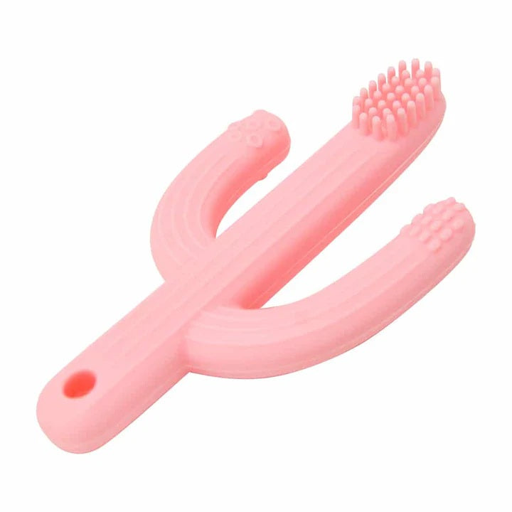 Silicone Teether - Cactus Assorted Colours