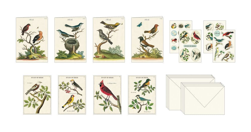 Cavallini Stationary Set Birds