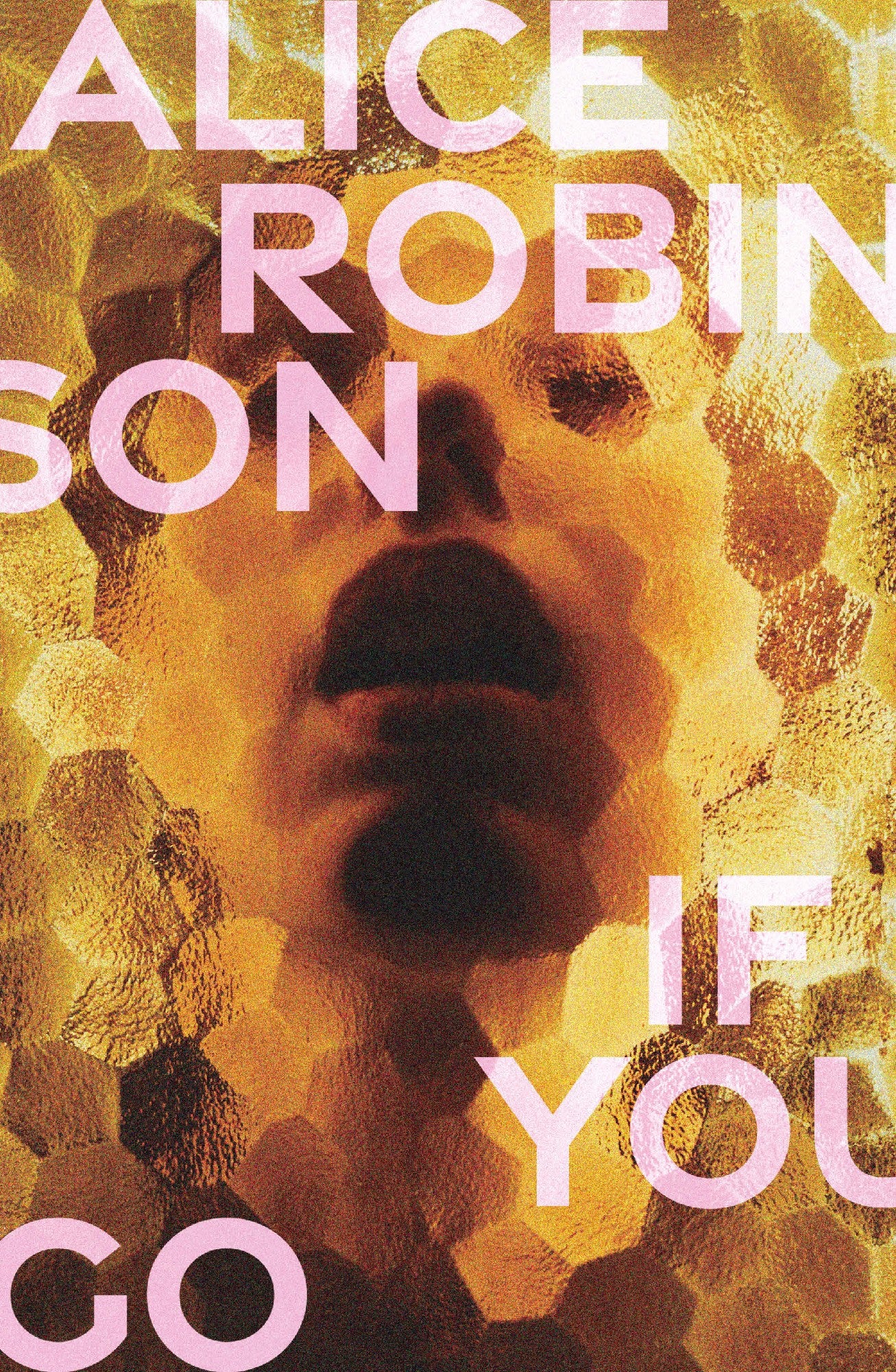If You Go - Alice Robinson