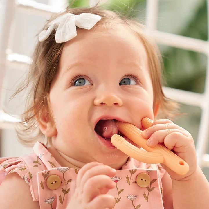 Silicone Teether - Cactus Assorted Colours