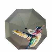 Compact Umbrella - Hummingbird | By Dani Till