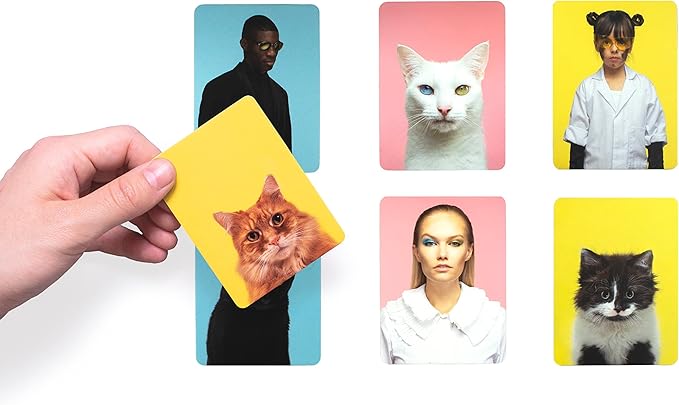 Do You Look Like Your Cat? Memory Game