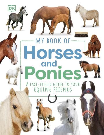 My Book Of Horses And Ponies - 