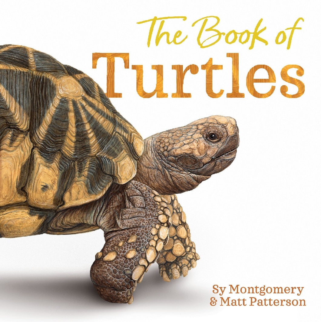 The Book Of Turtles - Sy Montgomery