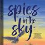 Spies In The Sky - Beverley Mcwilliams