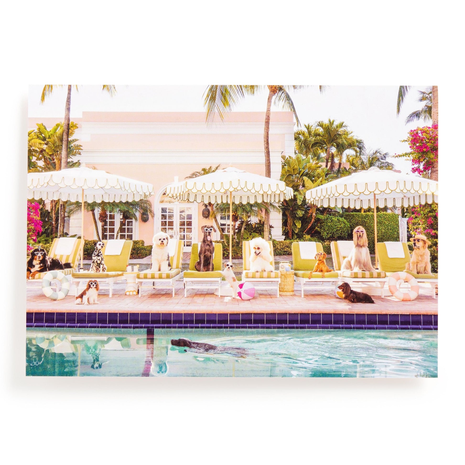 Gray Malin Pool Day Palm Beach 1000 Piece Book Box Puzzle