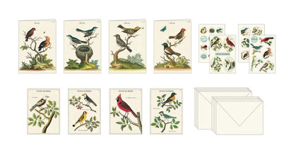 Cavallini Stationary Set Birds 