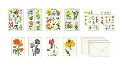 Cavallini Stationary Set Wildflowers
