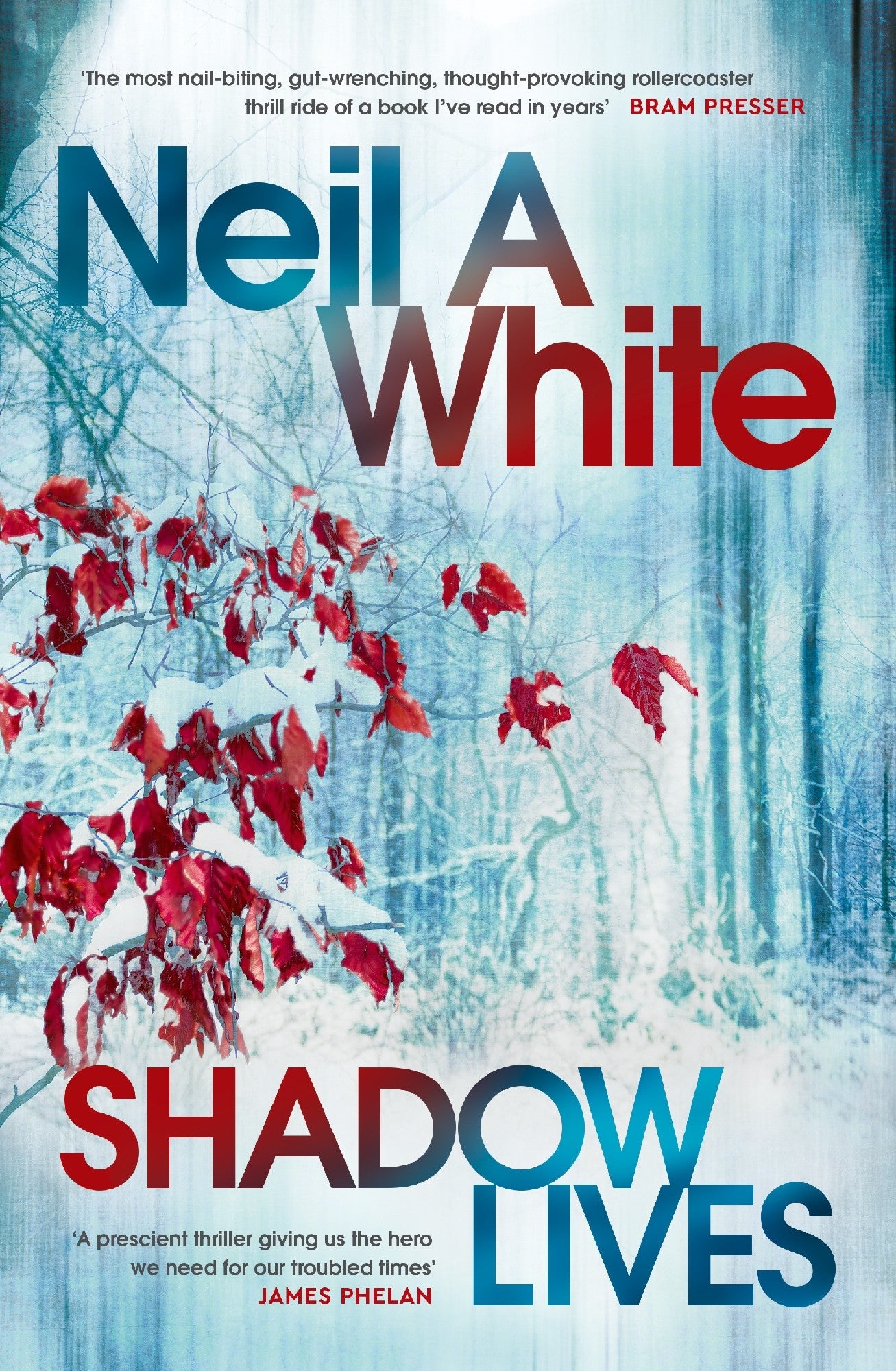 Shadow Lives - Neil White