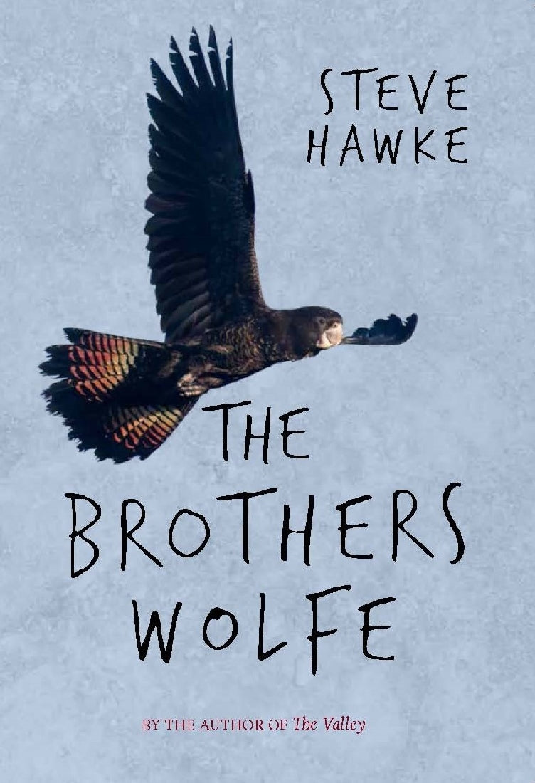 The Brothers Wolfe - Hawke, Steve
