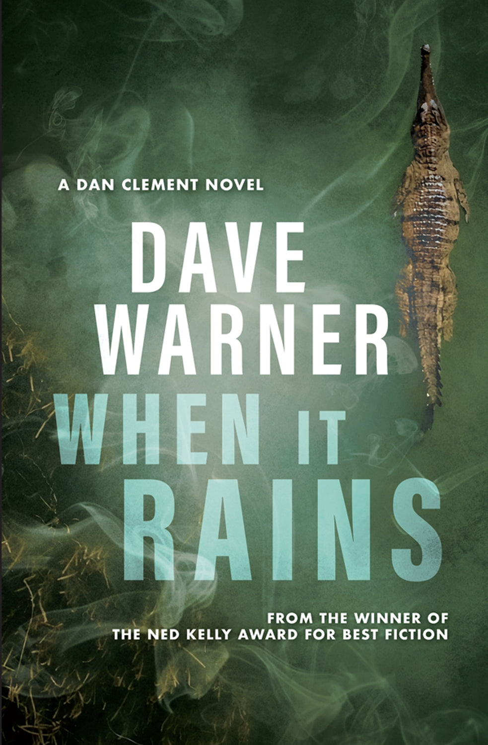When It Rains - Dave Warner