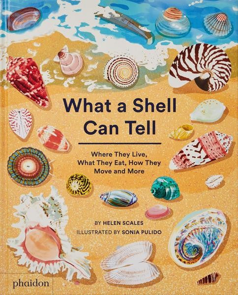 What A Shell Can Tell - Helen Sclaes