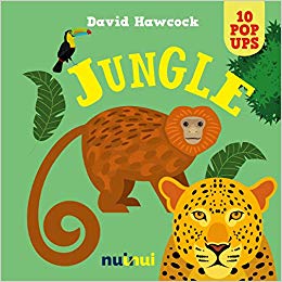 10 Pop Up Jungle - David Hawcock