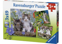 Load image into Gallery viewer, Puzzle 3x49 Kittens
