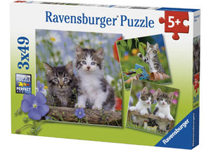 Puzzle 3x49 Kittens