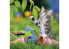 Load image into Gallery viewer, Puzzle 3x49 Kittens
