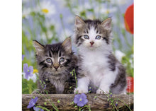 Load image into Gallery viewer, Puzzle 3x49 Kittens
