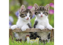 Load image into Gallery viewer, Puzzle 3x49 Kittens
