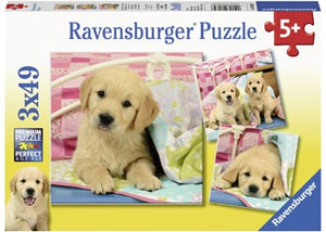 Puzzle 3x49 Cute Puppy Dogs