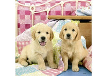 Load image into Gallery viewer, Puzzle 3x49 Cute Puppy Dogs
