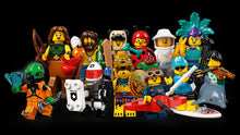 Load image into Gallery viewer, Lego 71029 Minifigures Series 21 Age 5+
