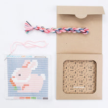 Load image into Gallery viewer, Needlepoint Bunny Picture Frame Kit
